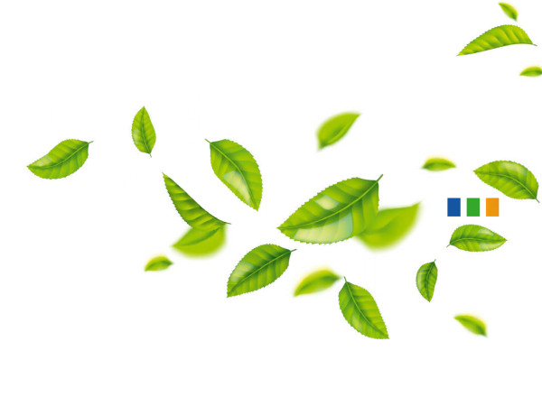 Naše kroky k udržitelnosti